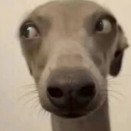 翻斗花园电坤小子