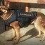 Dogmeat Tactical