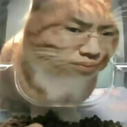 无人扶我青云志