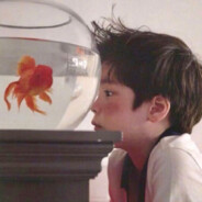 OH DAVID OH DAVID 嗦包包了