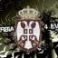 despot2005