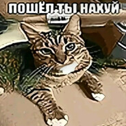 Cecidit_Angelus - steam id 76561199213541341