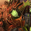 Avatar of player OnlyPrinceAlive