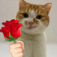 我与神明画押一拳打屎nm