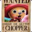 CHOPPER D &quot;HEALER&quot;