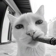 -high-