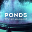 Pond5Official