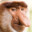 Hmm Monke