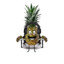 Mister Pineapple