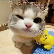 烧烤小詹