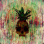 ANANAS # 4