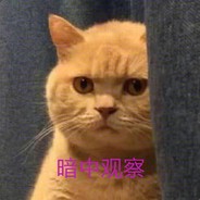 大脸猫