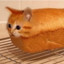 Bread Cat