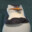 Skipper