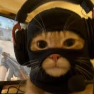 Navi Kitty