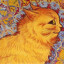 the cat is dead