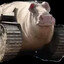 PigSex