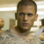 Scofield