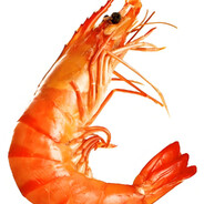 niko空3我空7，我是niko niko ni