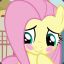 Fluttershy