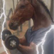 mechanic horse