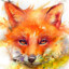 FoxDreaminq