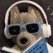 遇见她时正少年