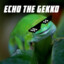 Echo The Gekko