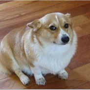 [VN✪] Hiệp Đặng