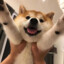 权网红ULIKE