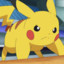 Pika