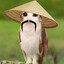 Meowru
