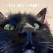 FOR GOTHAM!!