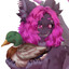 DogeTheDerg x3