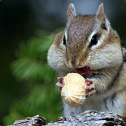 822159655
