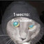Бешеный Додик