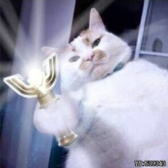 不骂人的一天从今天开