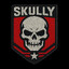 Avatar of Skully416