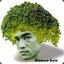 Brocco Lee