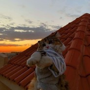 我很简单很平凡