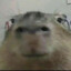 v0nder