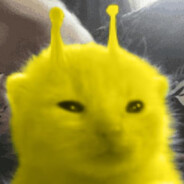 Ylorp