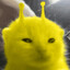 Ylorp