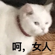 可恶鸭鸭第1个号