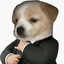Fatloser21