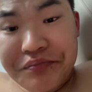 汪毛在线打飞机