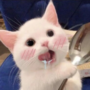 我看是谁不吃香菜