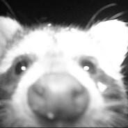 rak0nchikk's avatar