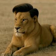 profile