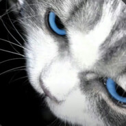 AAA建材批发78岁卧床守家